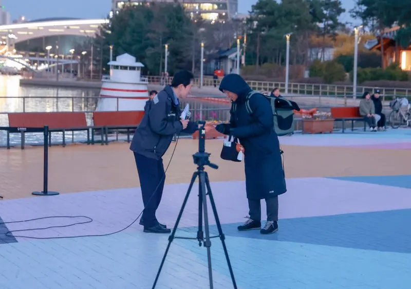 시민참여